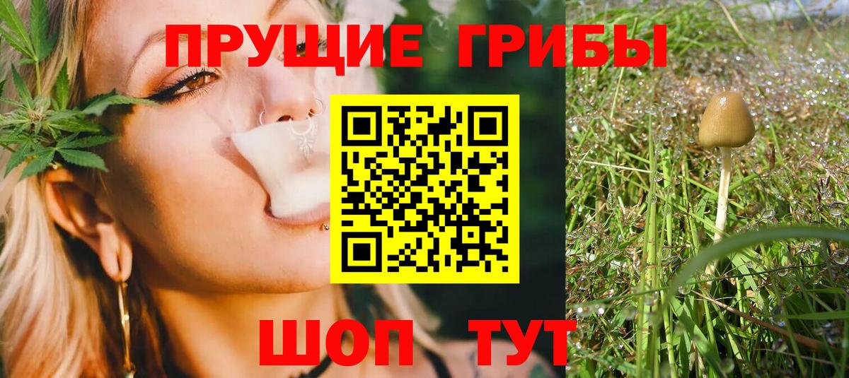 Псилоцибиновые грибы Psilocybe  цены наркотик  Алапаевск  Галлюциногенные грибы MAGIC MUSHROOMS  Вход с VPN 